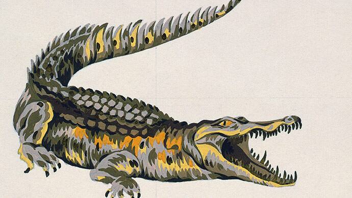 Érase una vez un cocodrilo | LACOSTE