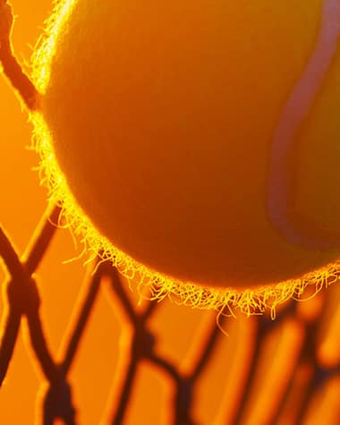 plp header black friday 2025