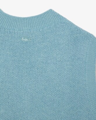 Colete em Gola V Lacoste x le FLEUR