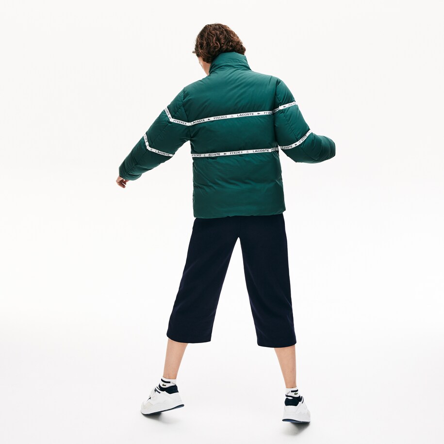 lacoste plumifero