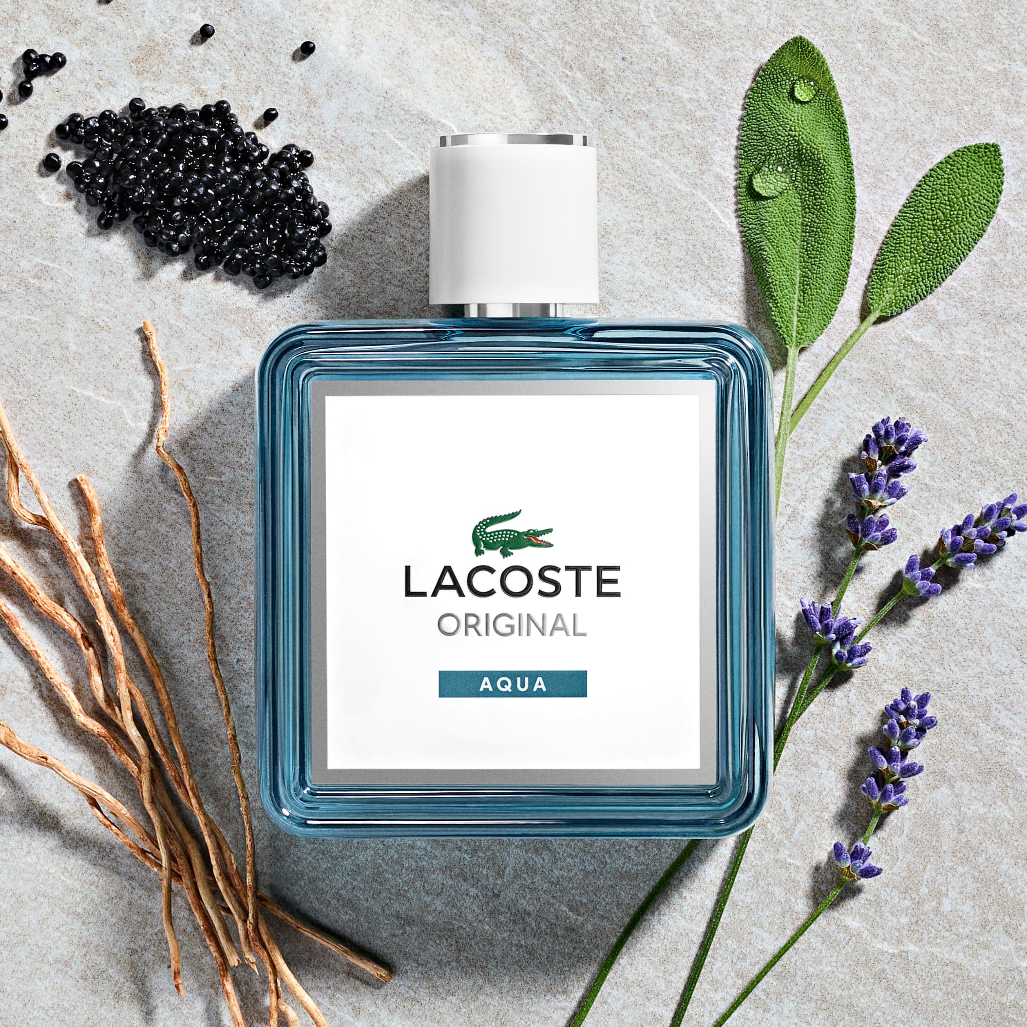 Lacoste Original Aqua Eau de Parfum 100ml - Perfumes Masculinos