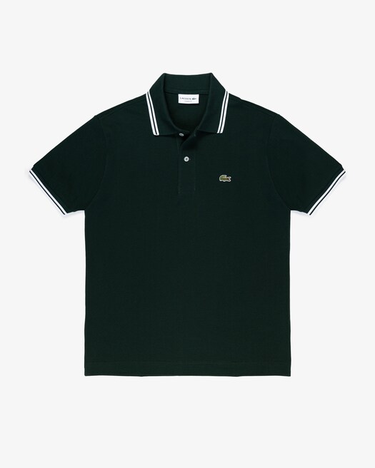 Verde / Branco