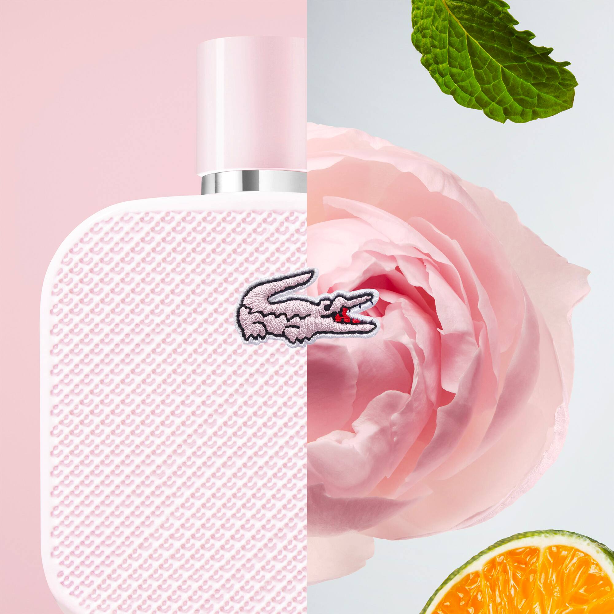 L.12.12 Rose Eau de Parfum 35ml - Perfumes Femininos - Novidades
