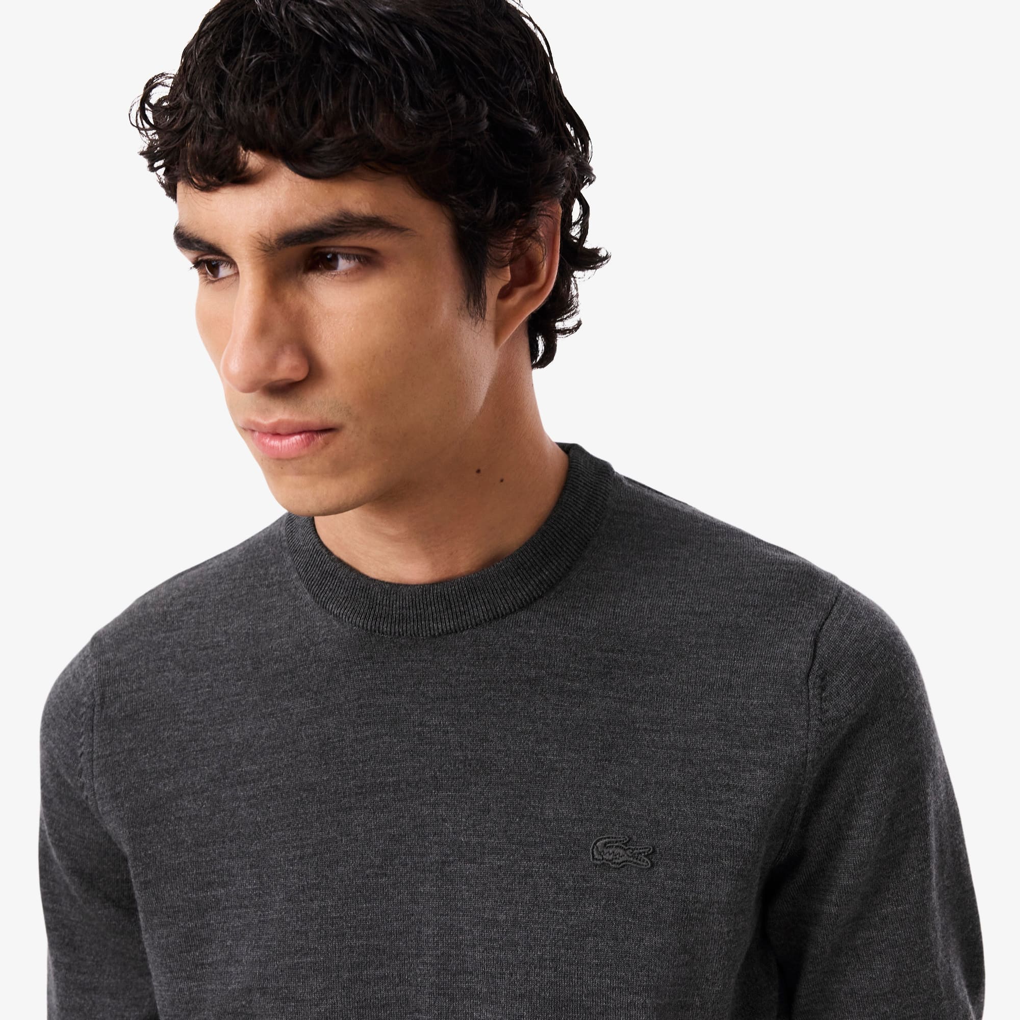 Suéter Lacoste Masculino em Lã Merino Gola Redonda