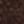 Dark Brown / Gum