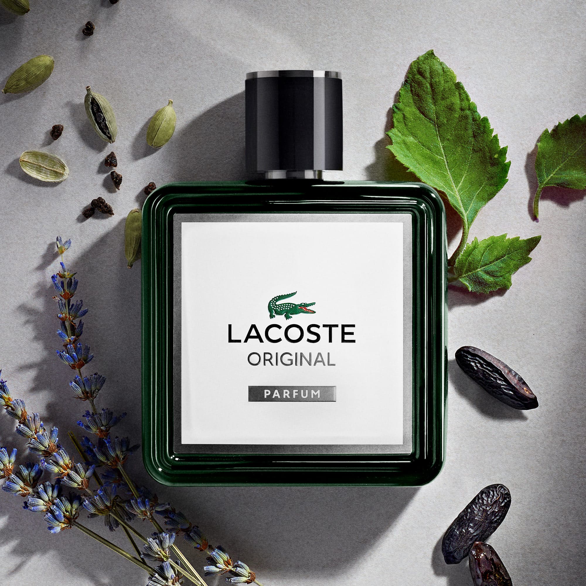 Lacoste Original Parfum 100ml - Perfumes Masculinos - Novidades