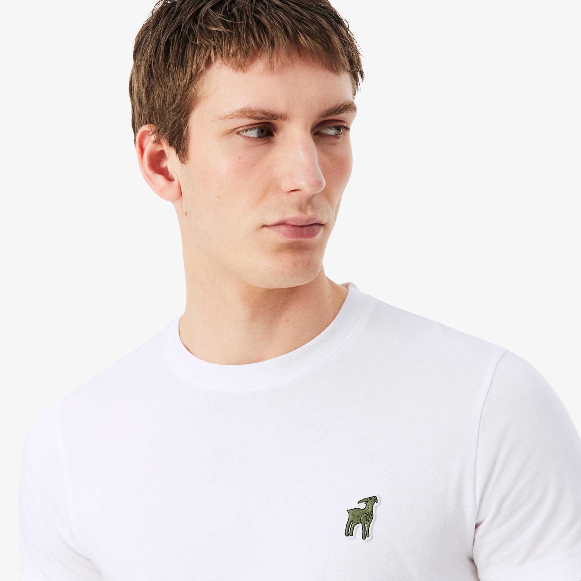 T-shirt Lacoste x Novak Djokovic The GOAT - Camisetas Masculinas