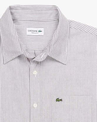 Camisa Oxford Listrada com Caimento Regular