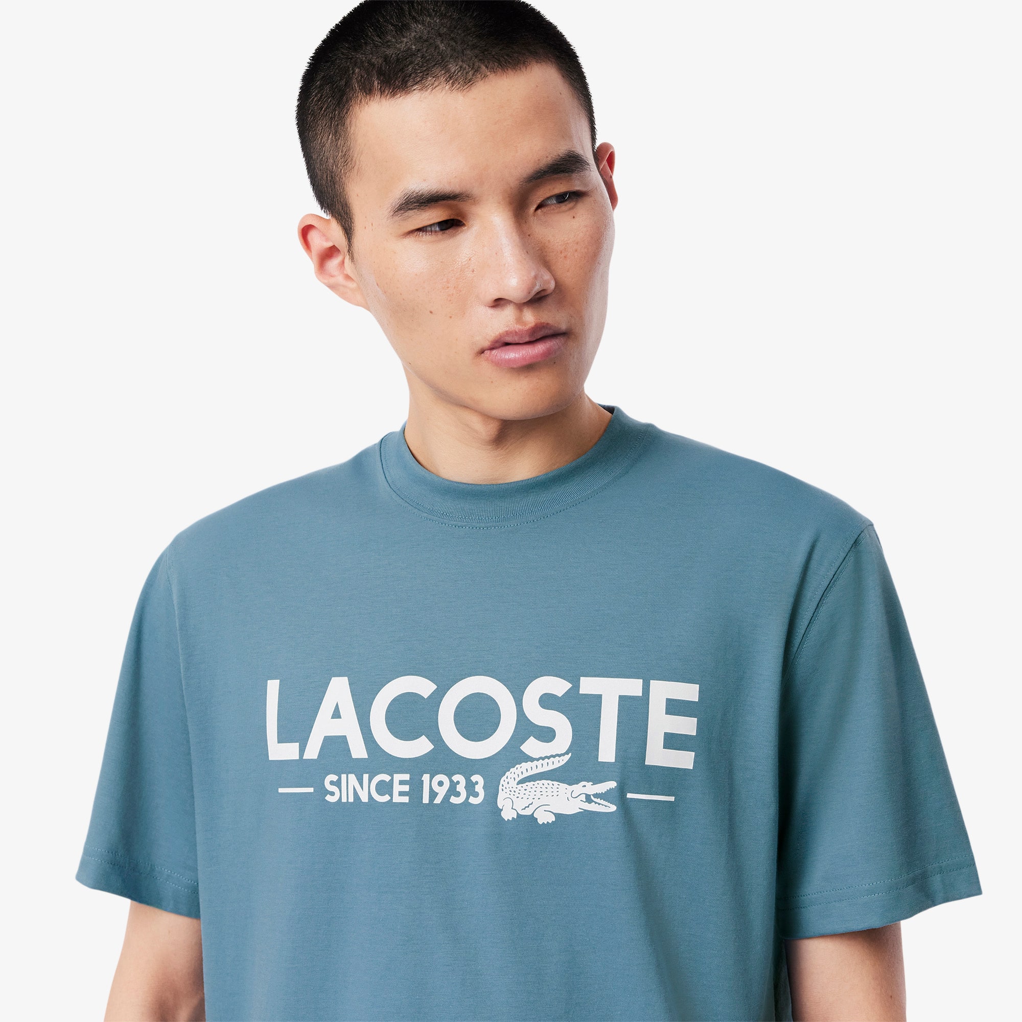 Camiseta em Algodão Lacoste Since 1933 de Caimento Clássico