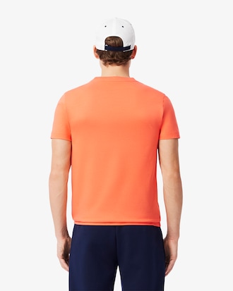 Conjunto Lacoste Tennis X Novak Djokovic