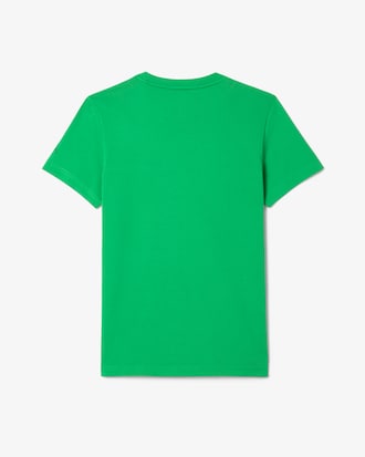 Conjunto Lacoste Tennis X Novak Djokovic
